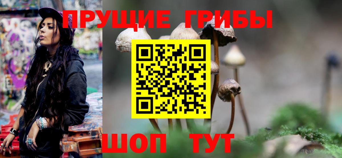 Галлюциногенные грибы прущие грибы  Вход с VPN  Горно-Алтайск 
