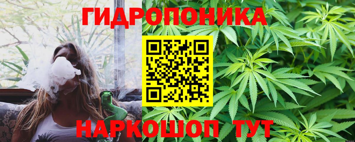 Бошки Шишки сатива Горно-Алтайск